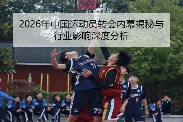 2026年中国运动员转会内幕揭秘与行业影响深度分析