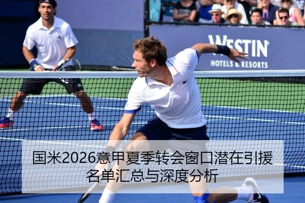 国米2026意甲夏季转会窗口潜在引援名单汇总与深度分析